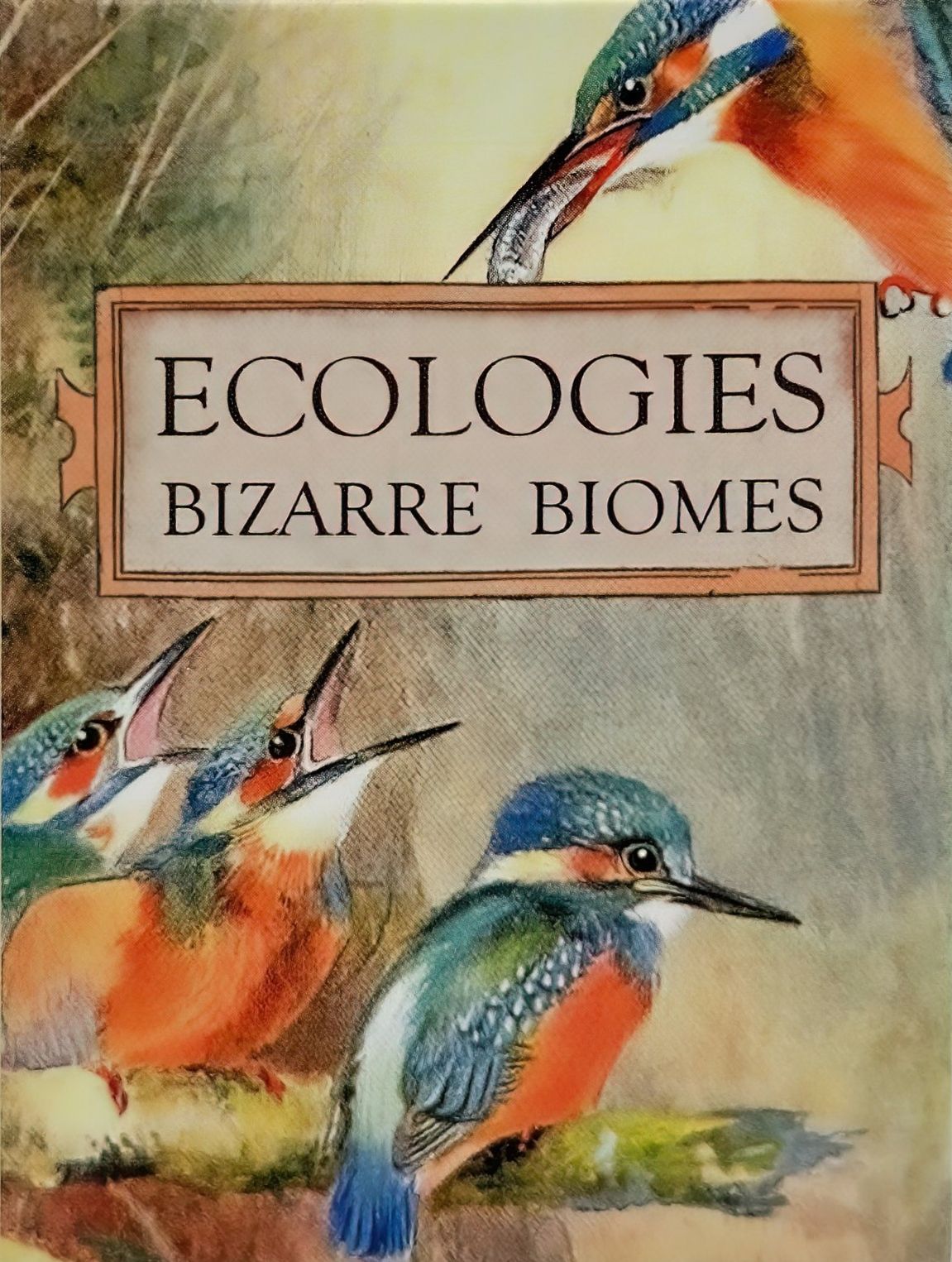 Coperta Ecologies: Bizarre Biomes