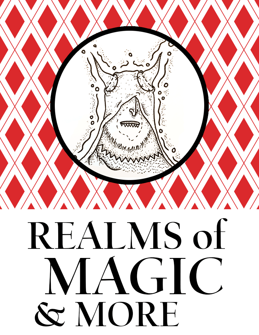 Hero's Journey Home: Realms of Magic and More box art