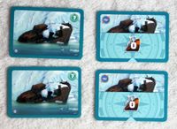 Neko Harbour: The Card Game – Ghost Ship