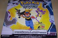 Pokémon Poké Ball Flip