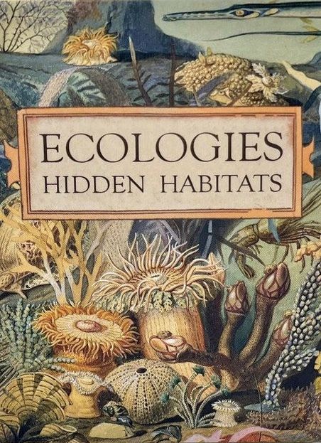 Ecologies: Hidden Habitats box art