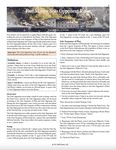 Fort Sumter: Solo Opponent