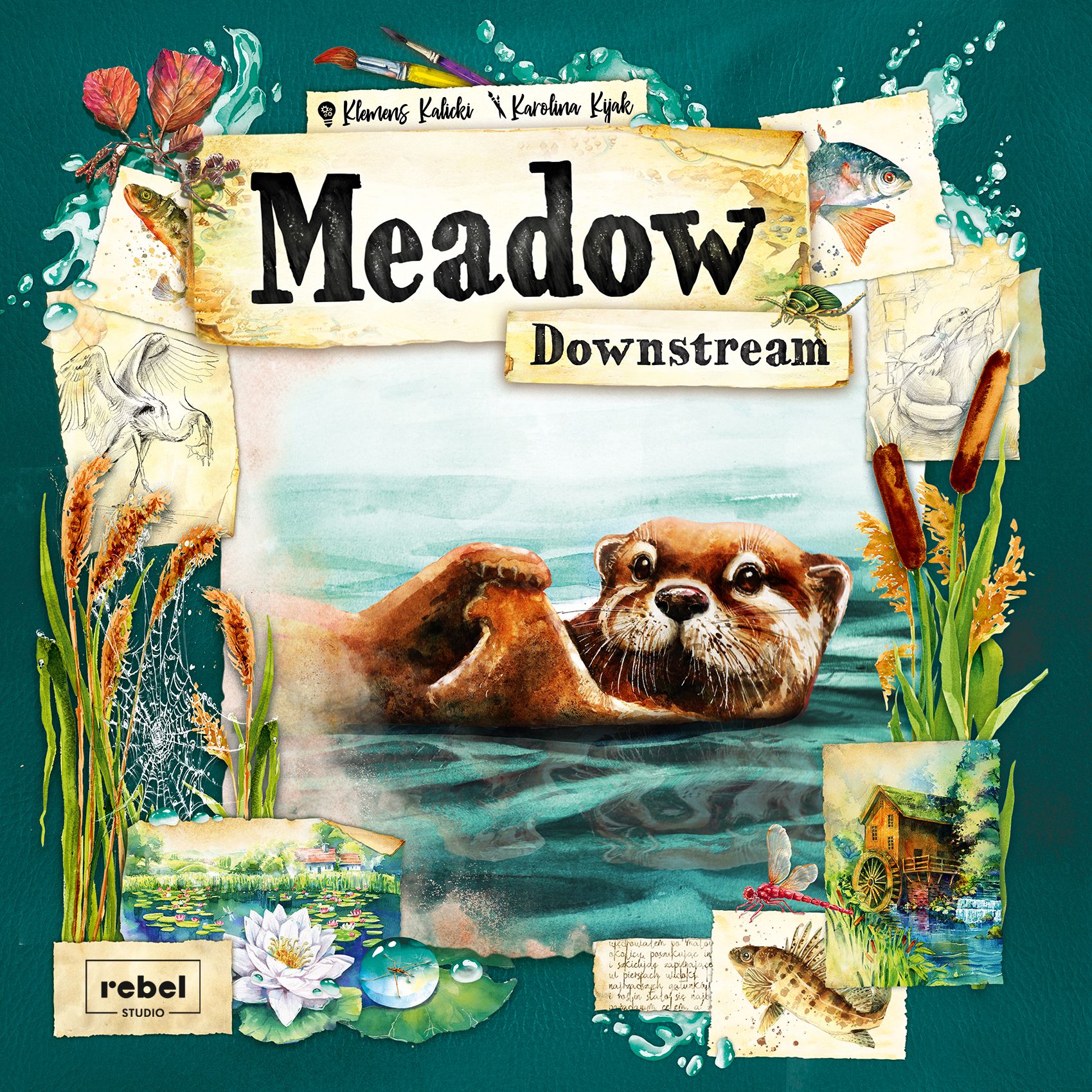 Meadow: Downstream box art