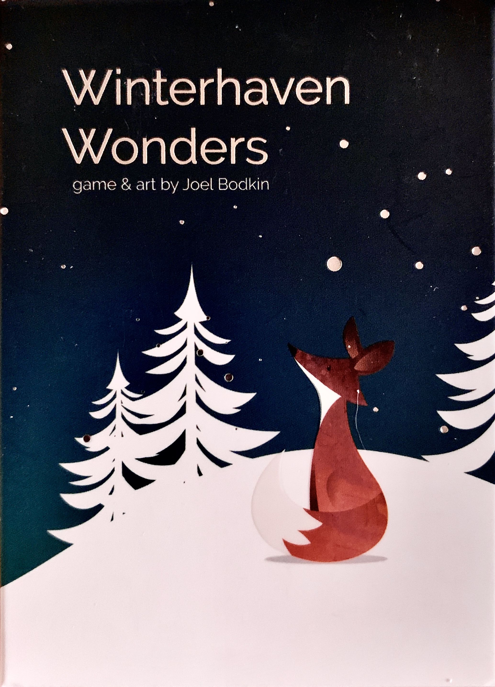 Winterhaven Woods: Winterhaven Wonders box art