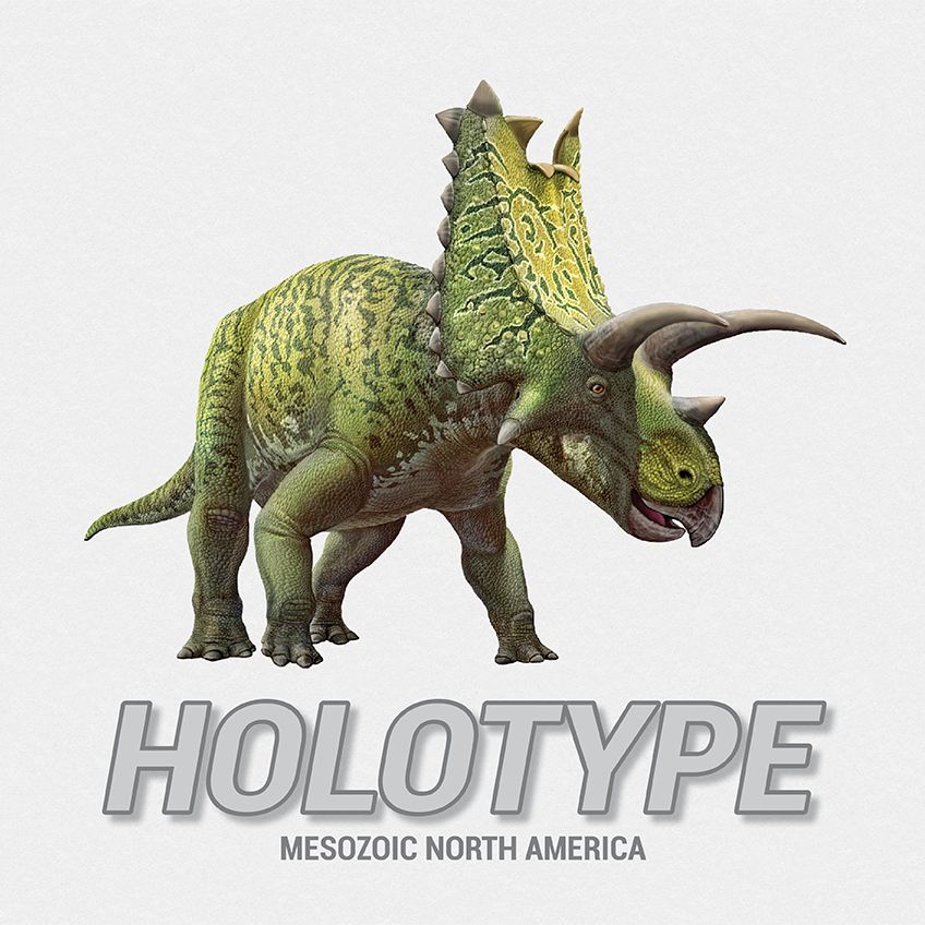 Holotype: Mesozoic North America doboz