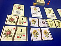 Age of Flora