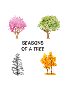Coperta Seasons of a Tree