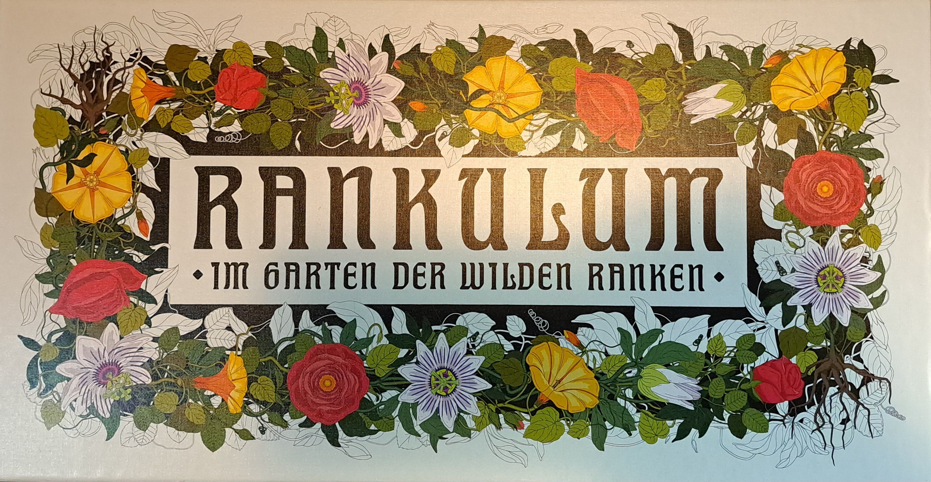 Rankulum: Im Garten der Wilden Ranken box art