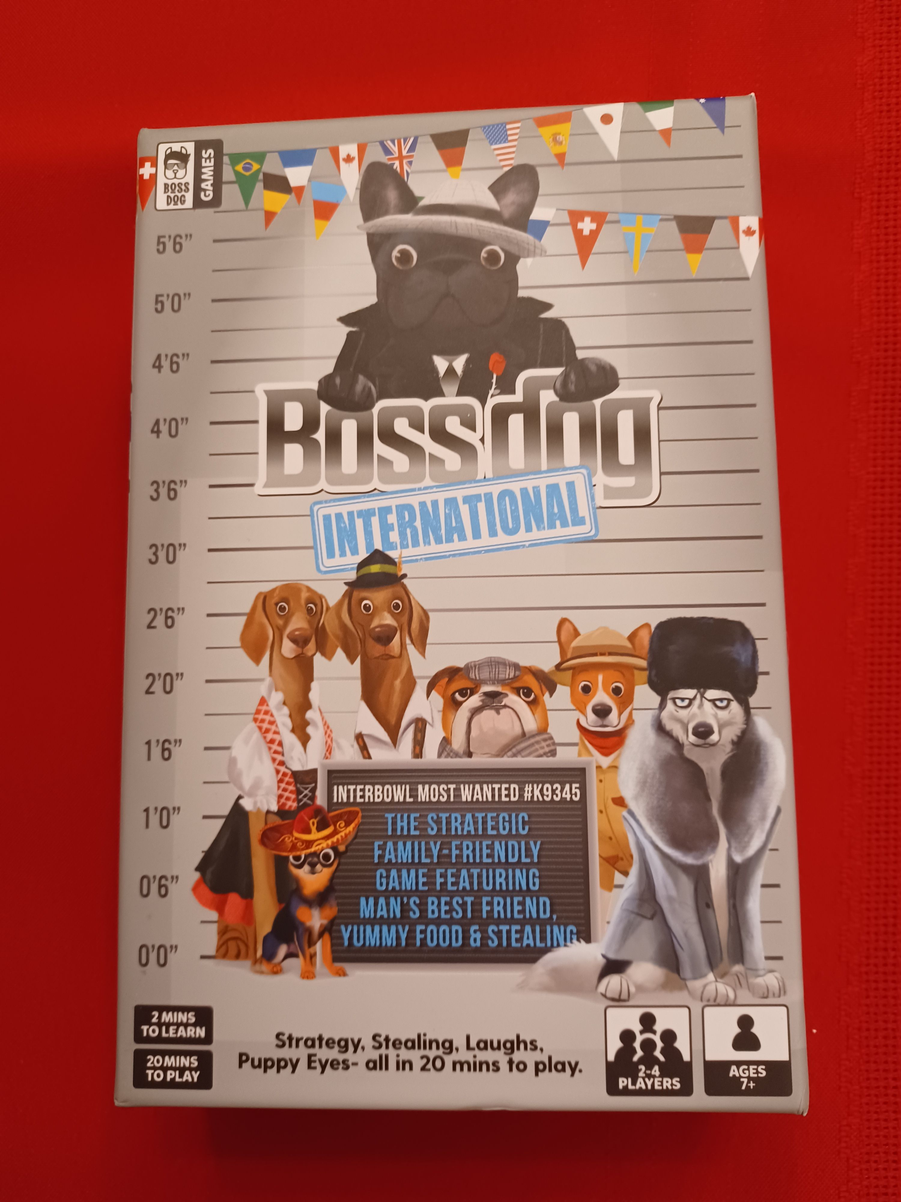 Boss Dog International doboz
