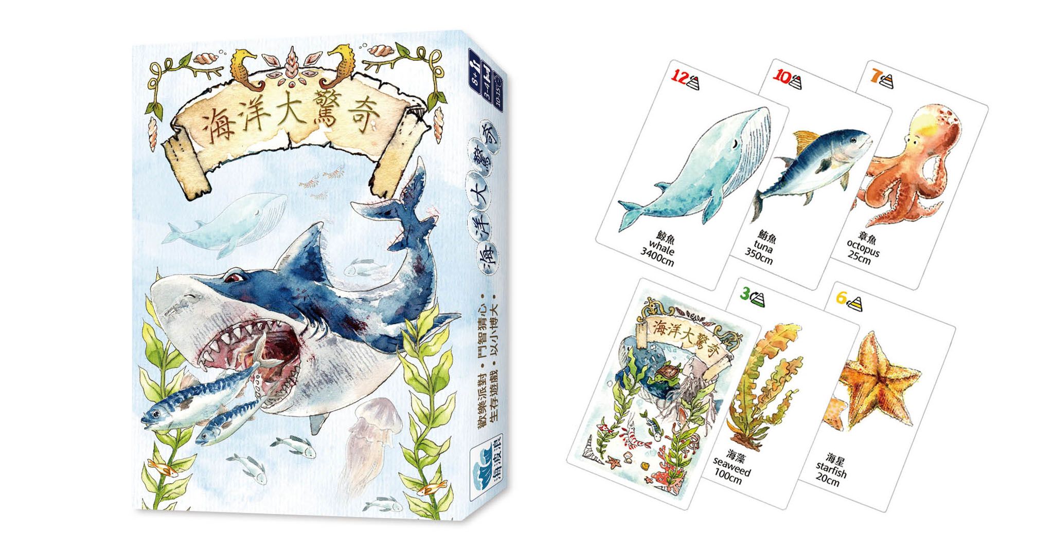 Amazing Ocean-Food Chain doboz