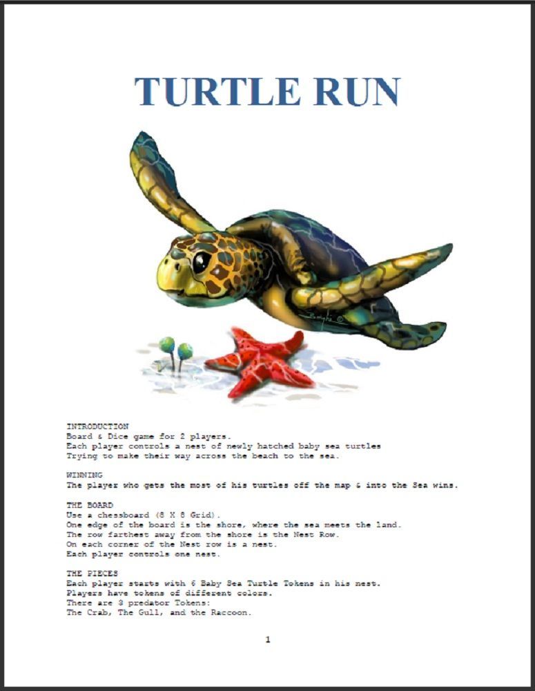 Turtle Run doboz