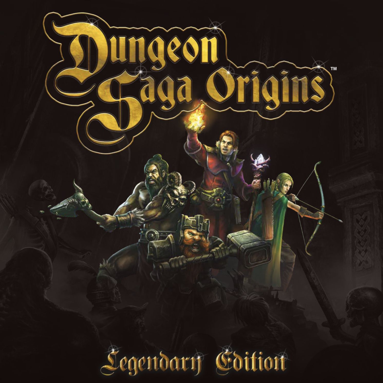 Dungeon Saga Origins box art