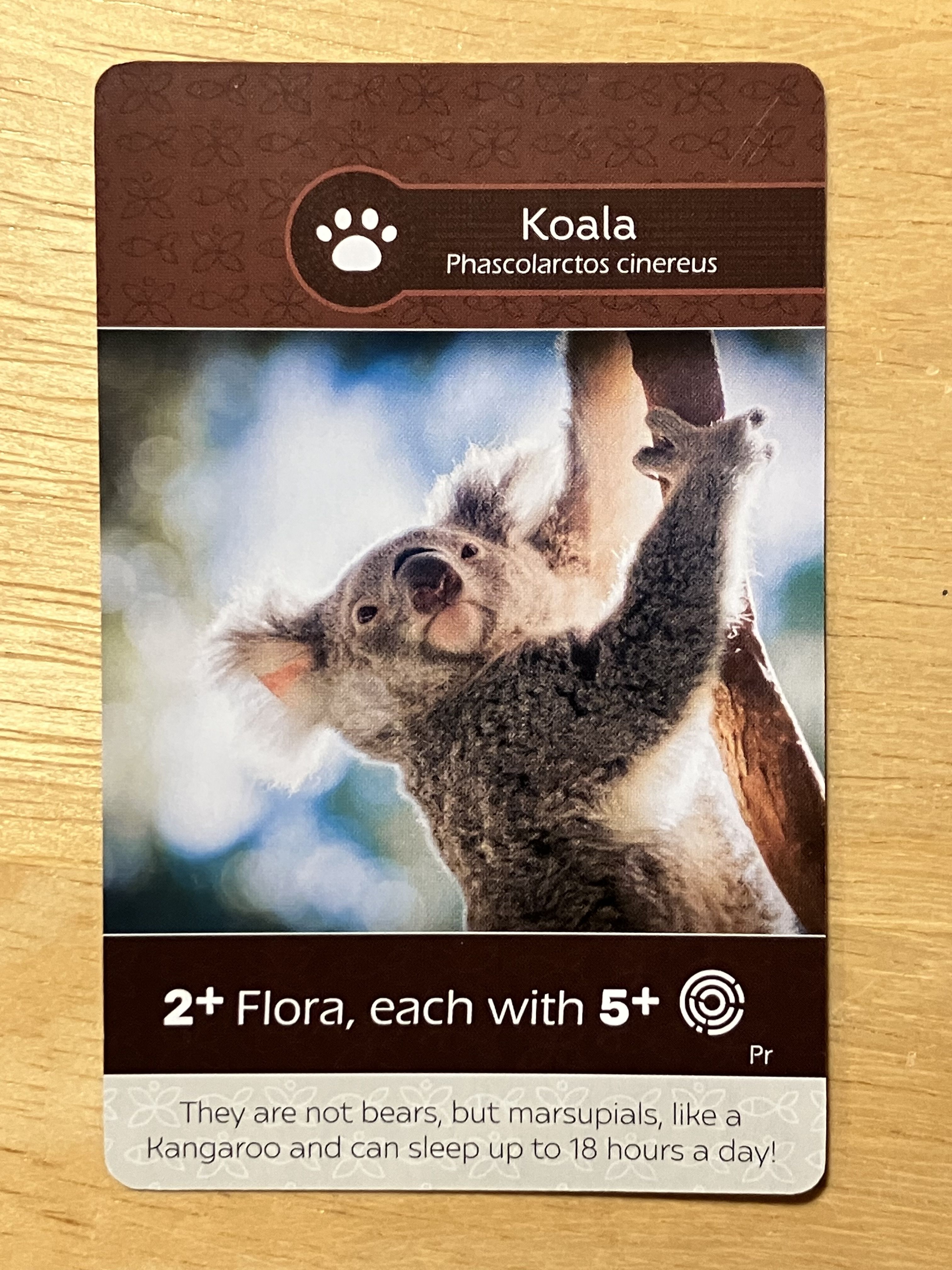 Earth: African Lion/Koala Promo Card doboz
