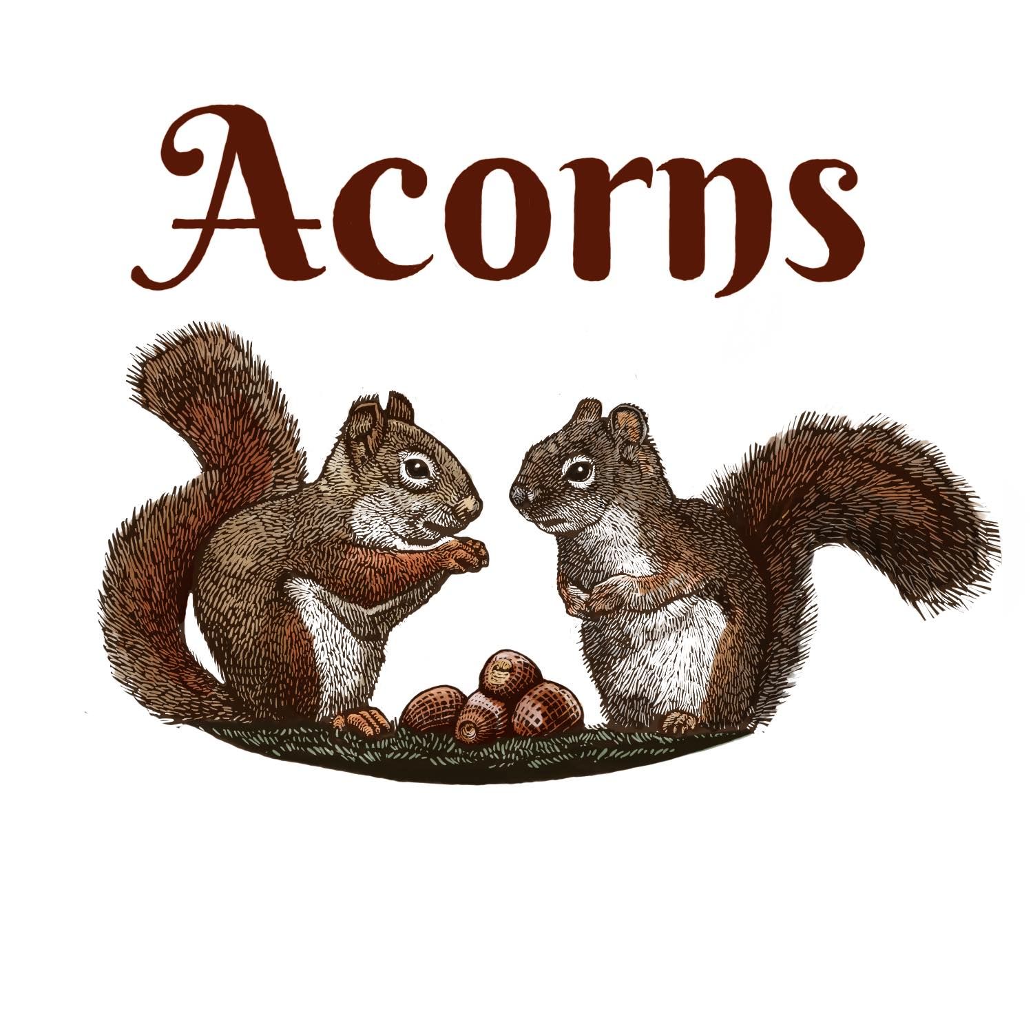 Acorns box art