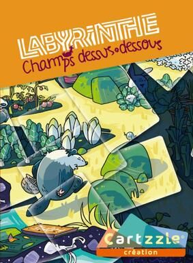 Coperta Cartzzle: Labyrinthe champs dessus dessous