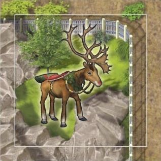 Zooloretto: The Reindeer box art