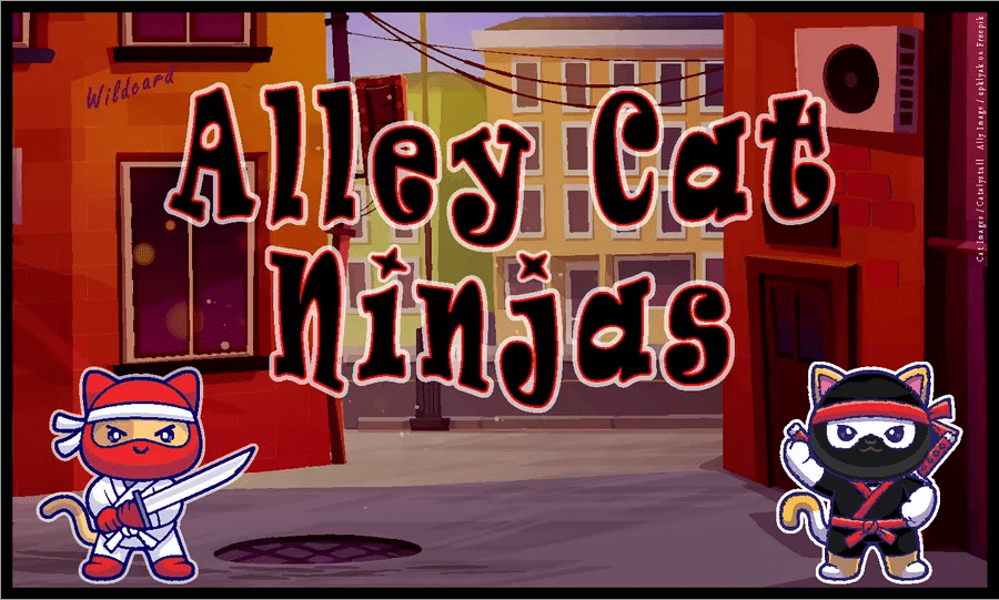 Coperta Alley Cat Ninjas