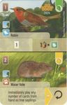 Forest Shuffle: Robin / Water Vole Promo Card