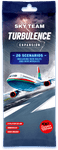 Sky Team: Turbulence