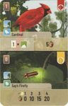 Forest Shuffle: Cardinal / Say's Firefly Promo Card doboz