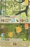 Forest Shuffle: Maretak / Bostulp Promo Card