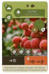 Earth: Lychee Promo Card