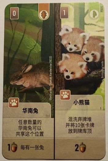 Forest Shuffle: Chinese Hare / Red Panda Promo Card doboz