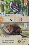 Forest Shuffle: Blue Jay / Beaver Promo Card