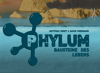 Phylum: The Building Blocks of Life
