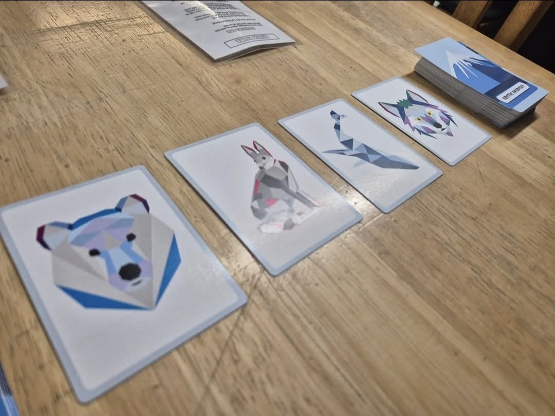 Arctic Anarchy doboz