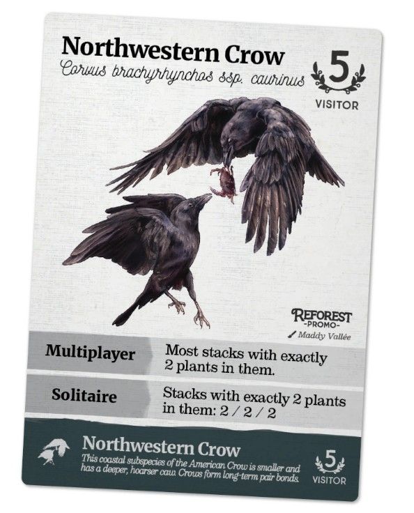 Reforest: Northwestern Crow Promo Card box art