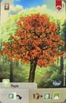 Forest Shuffle: Maple Promo Card