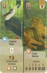 Forest Shuffle: Cigüeña negra / Lince ibérico Promo card