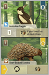 Forest Shuffle: Australian Magpie / Short-Beaked Echidna Promo Card