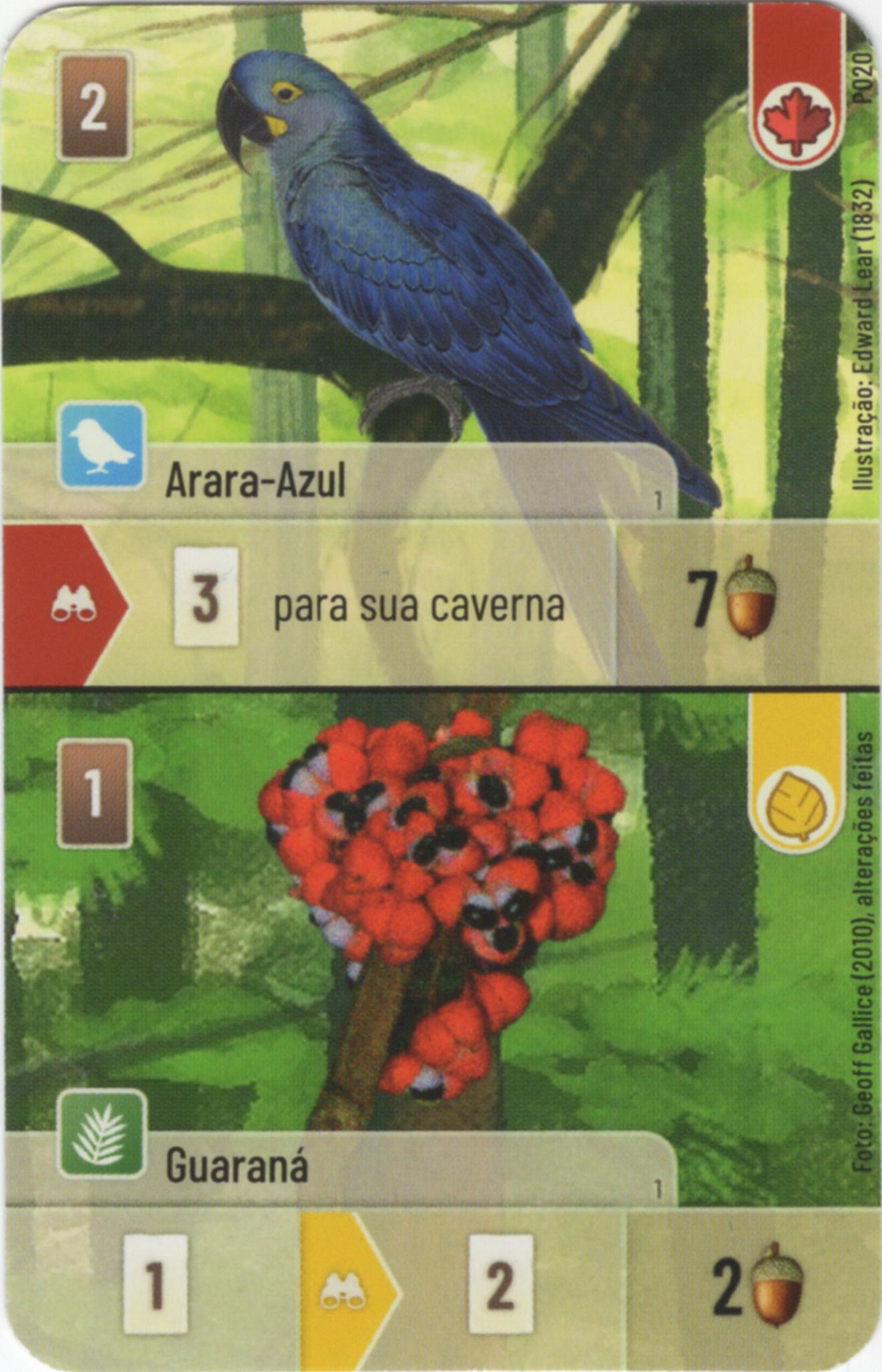 Forest Shuffle: Arara-Azul / Guaraná Promo Card doboz