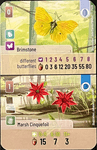 Forest Shuffle: Brimstone / Marsh Cinquefoil Promo Card