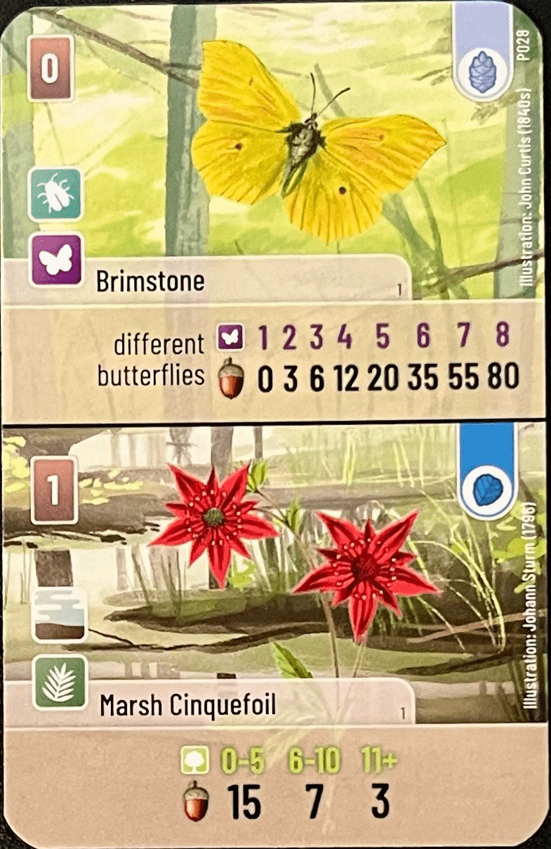 Forest Shuffle: Brimstone / Marsh Cinquefoil Promo Card doboz