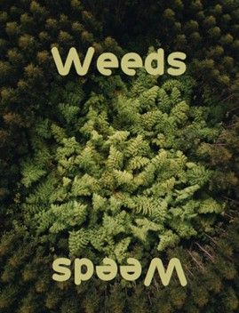Weeds: The Solo Card Game box art
