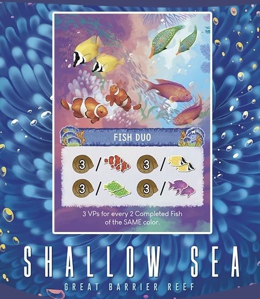 Shallow Sea: Fish Duo Ecosystem Card box art