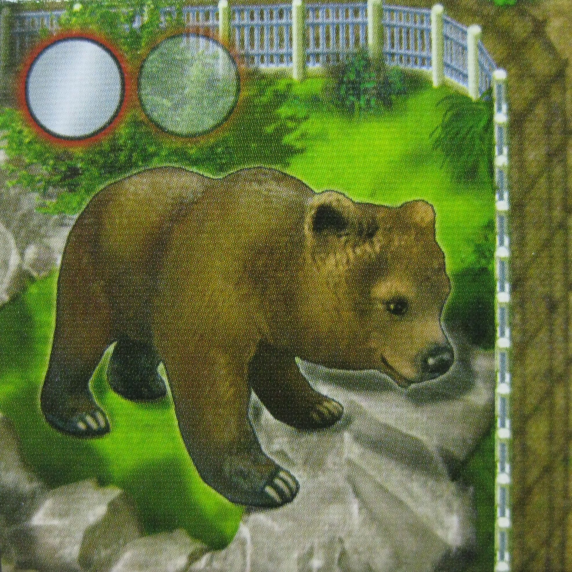 Zooloretto: Grizzly box art