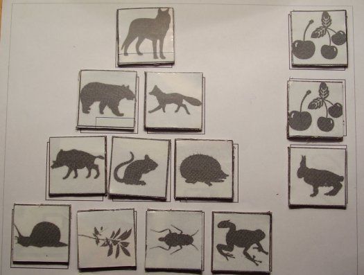 Who eats whom: The food chain boardgame box art