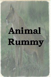 Animal Rummy box art