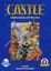 Castle box art