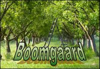 The Orchard