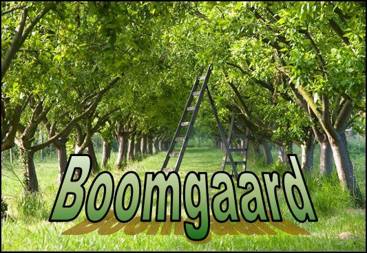 The Orchard doboz