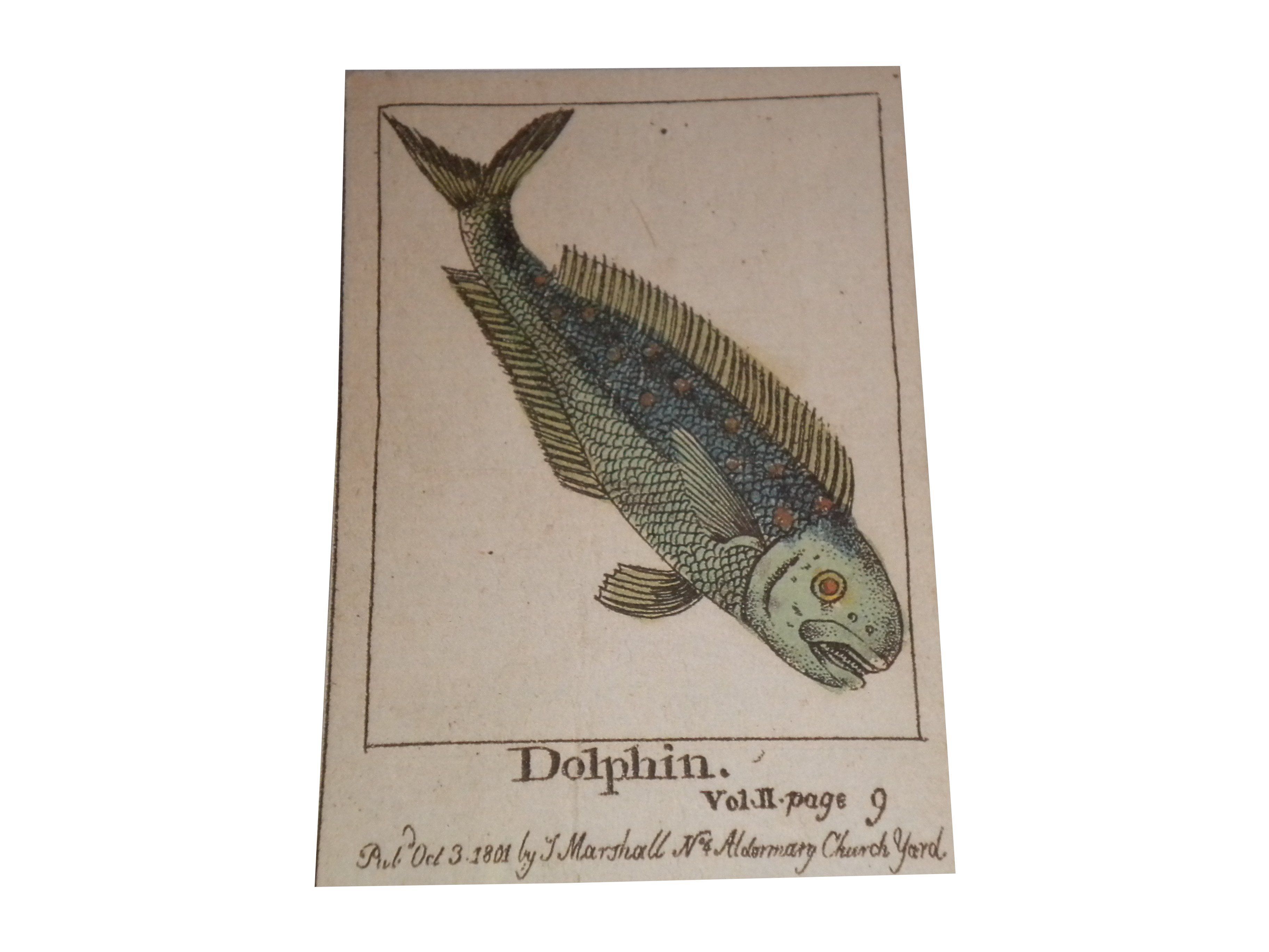 Coperta The Infant's Cabinet of Fishes