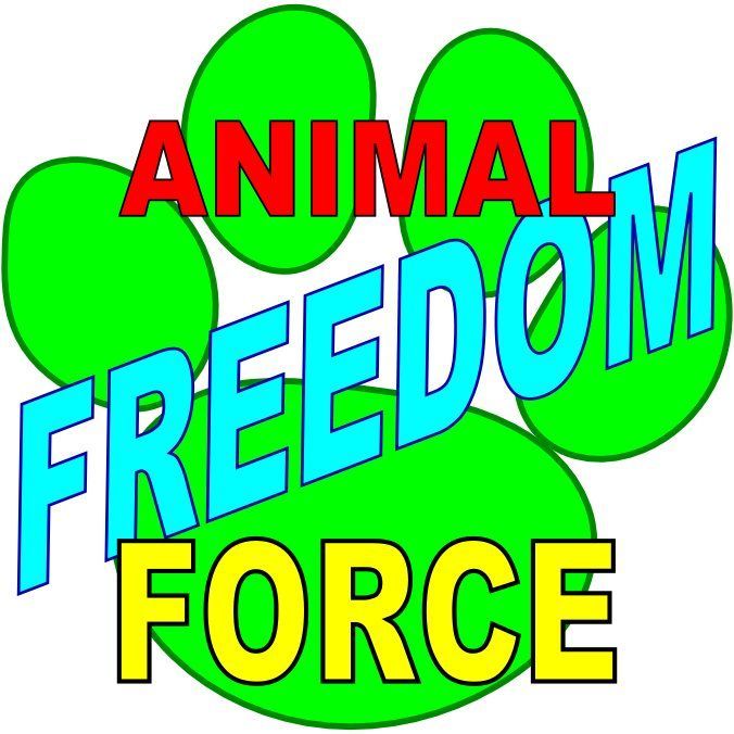 Animal Freedom Force box art