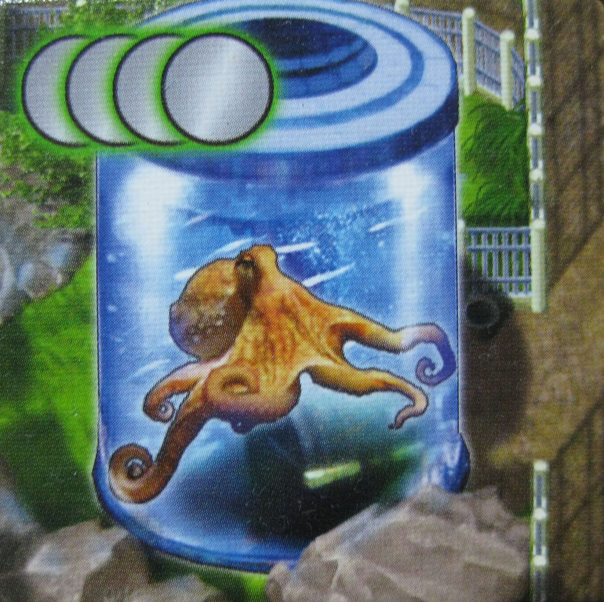 Zooloretto: Octopus box art