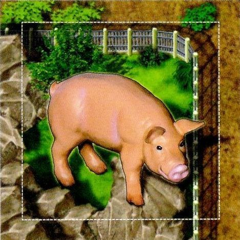 Zooloretto: Glücksschwein box art